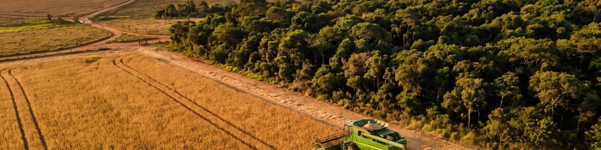 Área embargada e crédito rural em 2026 - a regra que vale