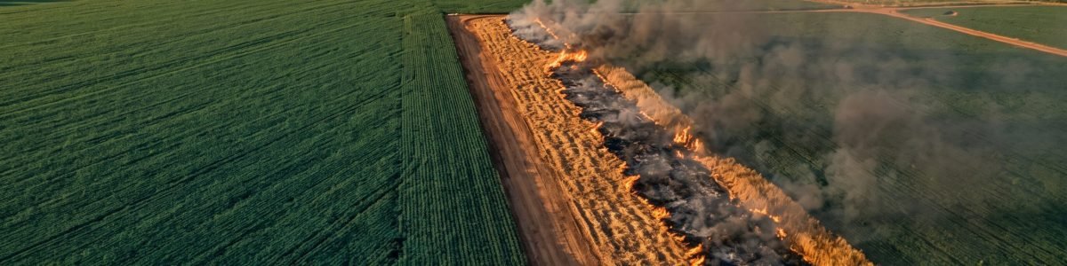 Autorização de queima controlada em MT - como pedir a AQC