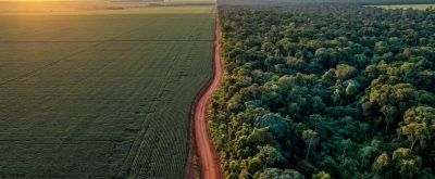 Compensação de Reserva Legal em Mato Grosso - guia 2026
