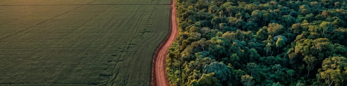 Compensação de Reserva Legal em Mato Grosso - guia 2026