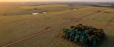 Déficit de reserva legal - como descobrir e o que fazer