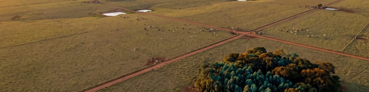 Déficit de reserva legal - como descobrir e o que fazer