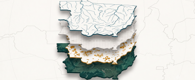 Panorama_Mato_Grosso_Sentinela_Rural