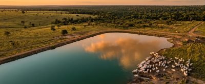 Regularização de barragem em Mato Grosso - guia completo
