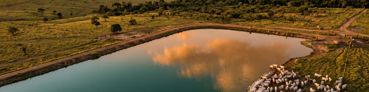 Regularização de barragem em Mato Grosso - guia completo