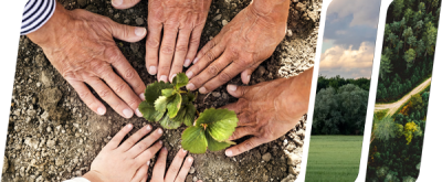 img-ecologia-1
