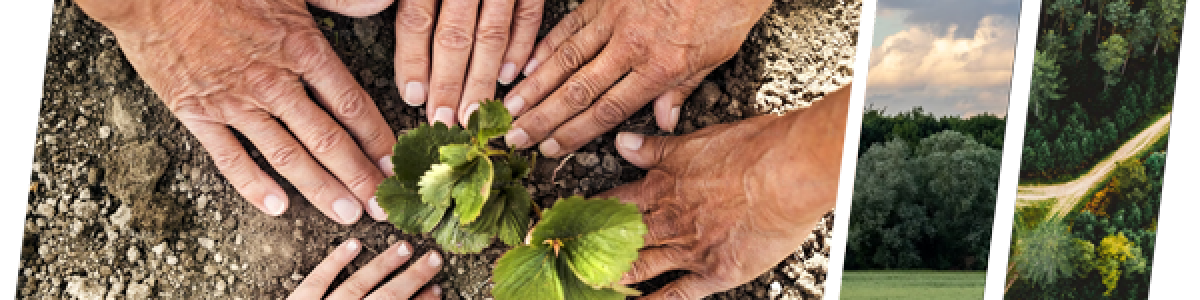 img-ecologia-1