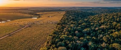 Excedente de reserva legal - como vender ou arrendar em MT